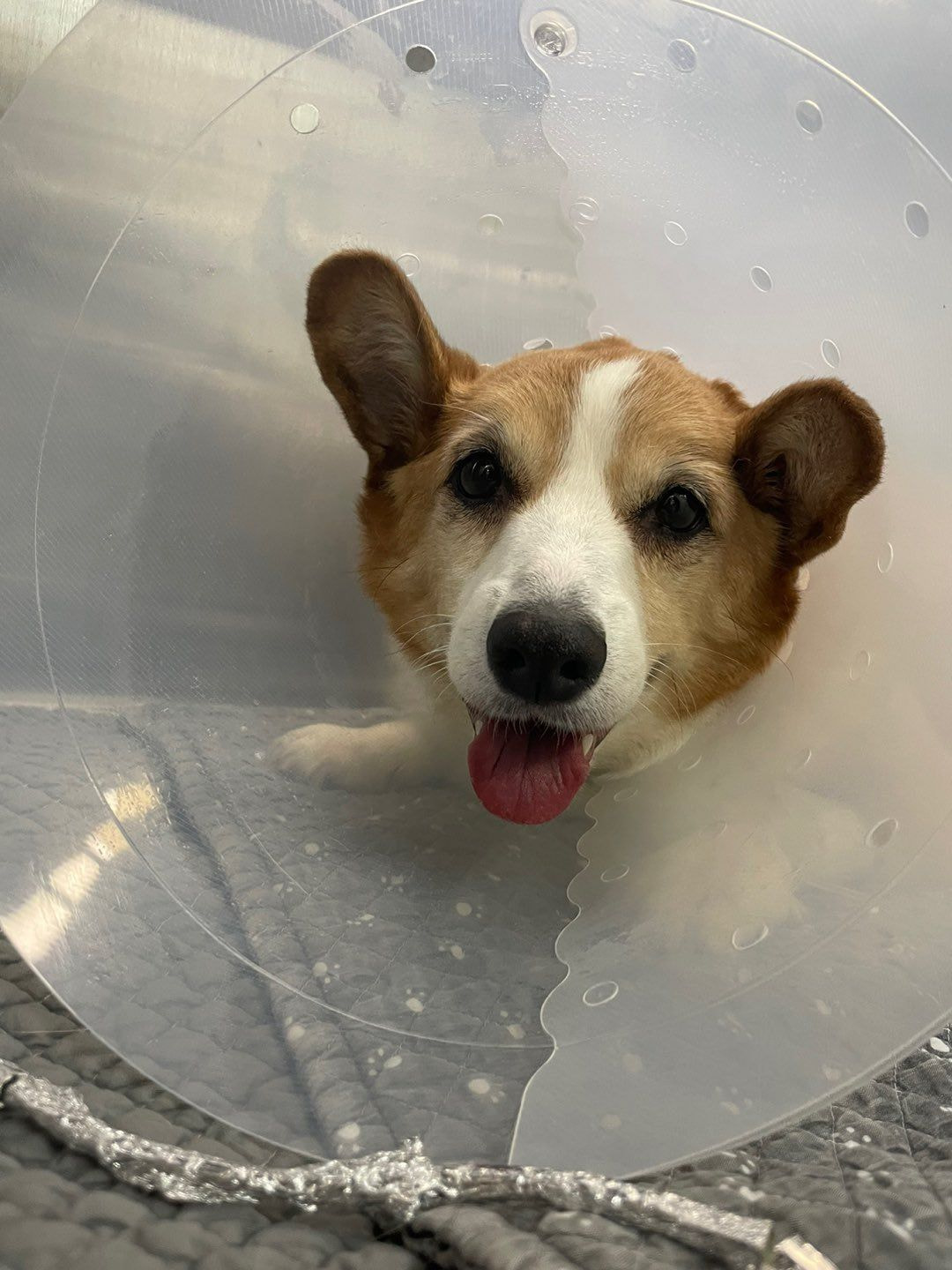 더쿠 이미지 보기