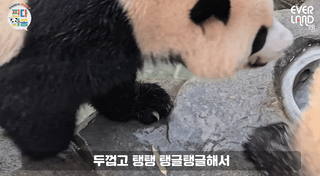 aaVEOg.gif