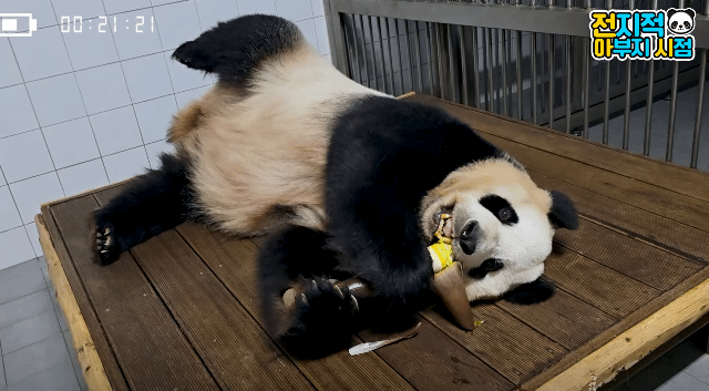 abRXke.gif