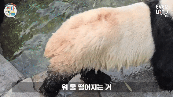 adMhig.gif