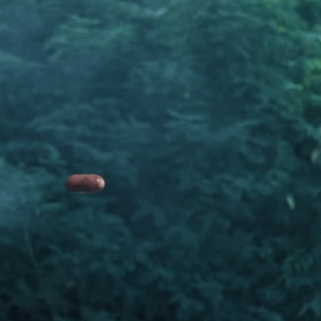 aqhQNX.gif