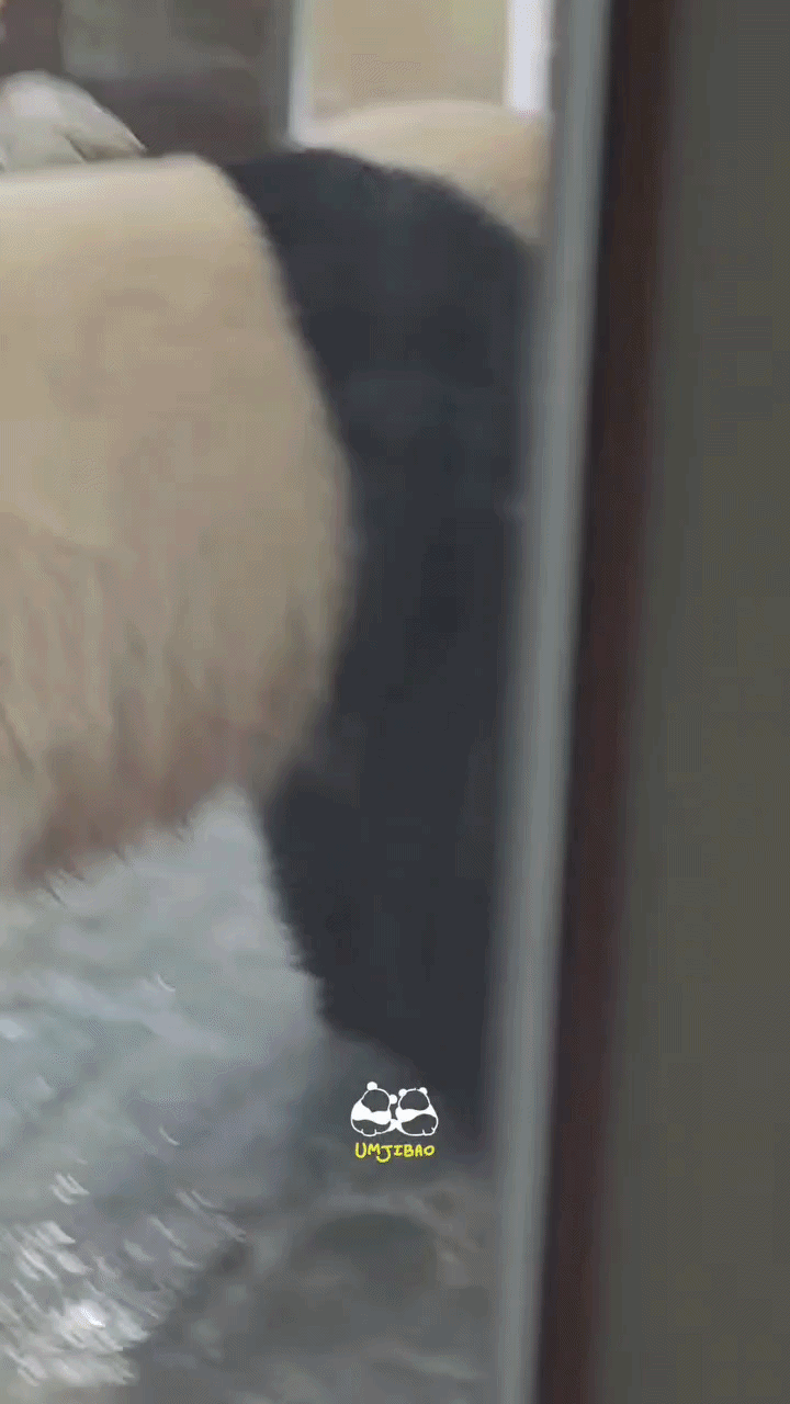 avpWgF.gif