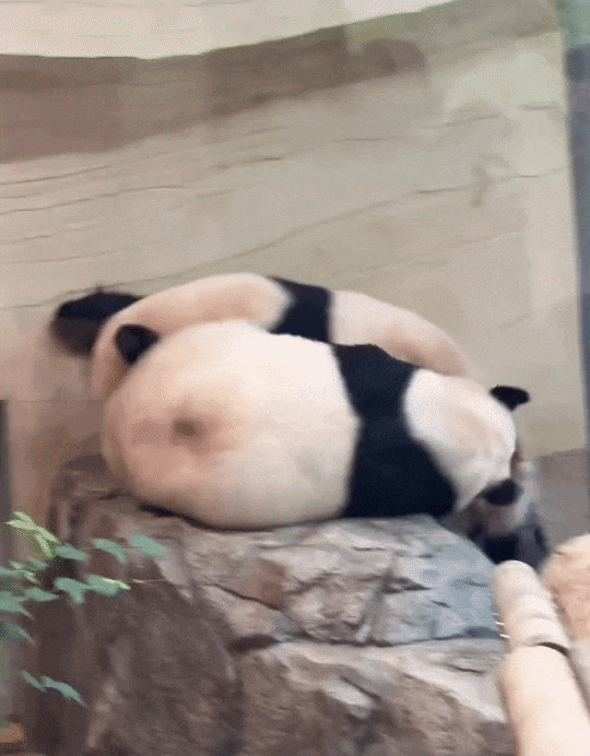 awUoqI.gif