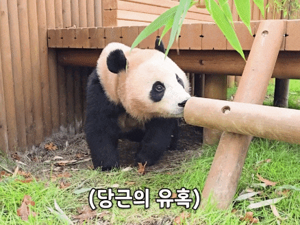 axIOoQ.gif