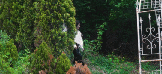 bMeGcx.gif