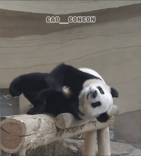 bUVcVH.gif
