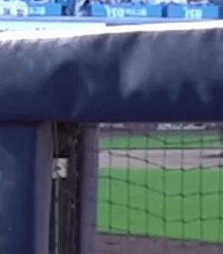 bZKWib.gif