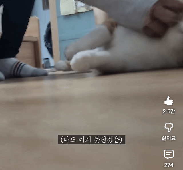 baQqCs.gif