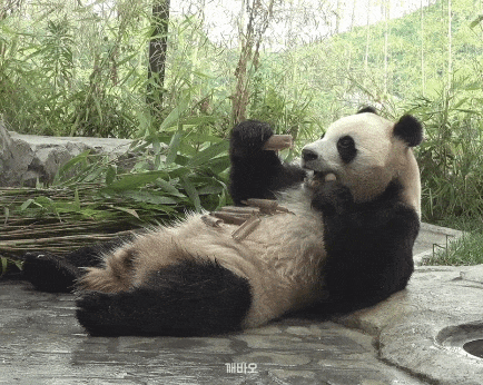 bcRKRE.gif