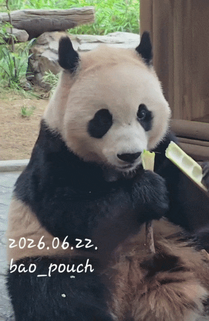 bcwpvE.gif