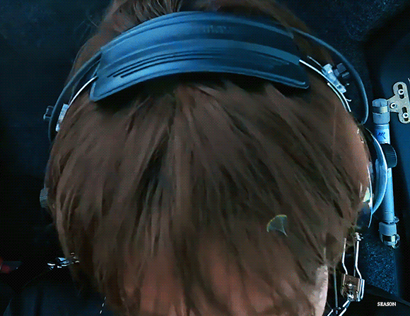 bhcagc.gif
