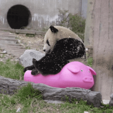 biiAkU.gif