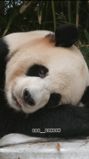 blRlaK.gif