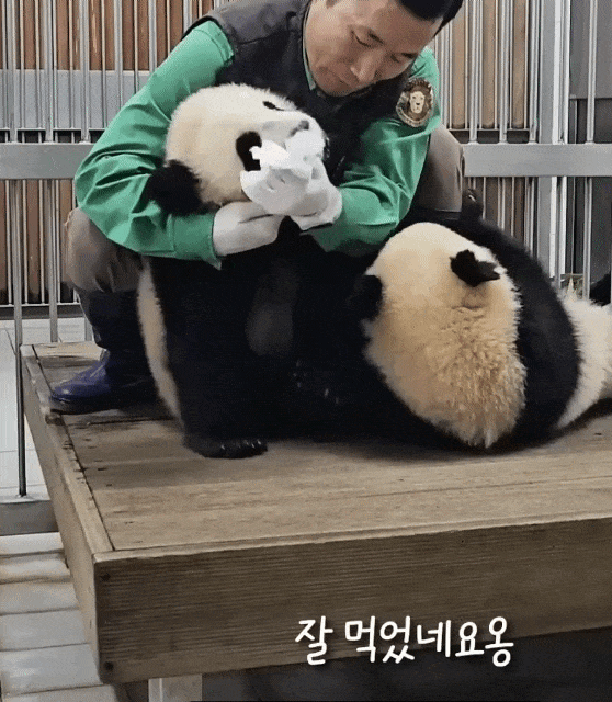bohDCp.gif