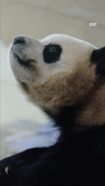 byJUyG.gif