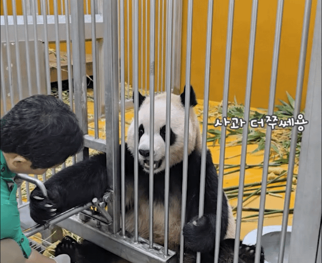 bylZLW.gif