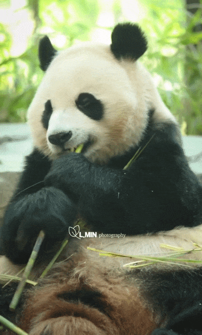 cAPjZK.gif