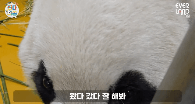 cCtcLo.gif