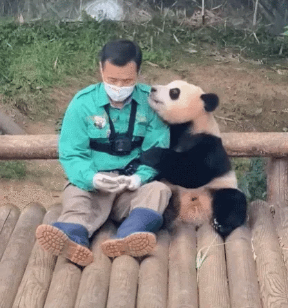 cEEePi.gif