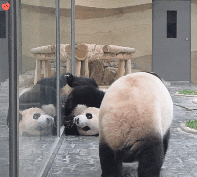 cHcdNA.gif