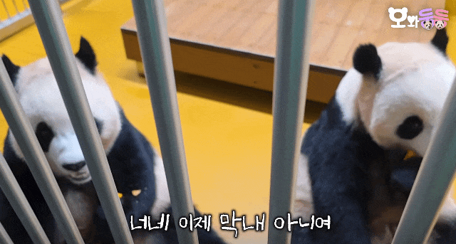 cMacoX.gif