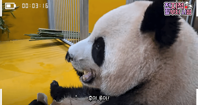 cPnWQW.gif