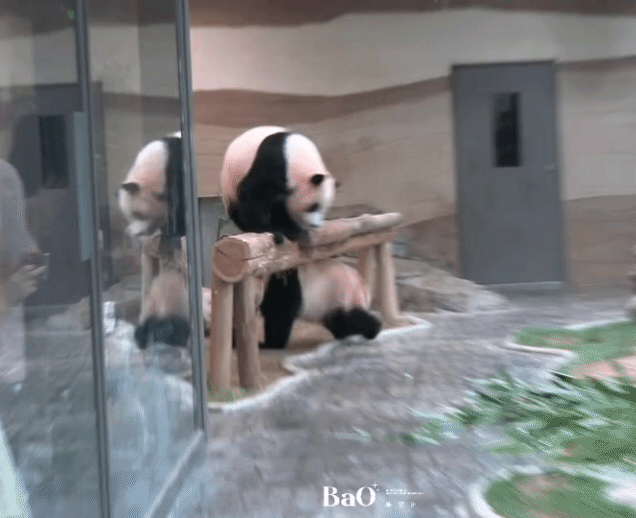 cUJYia.gif