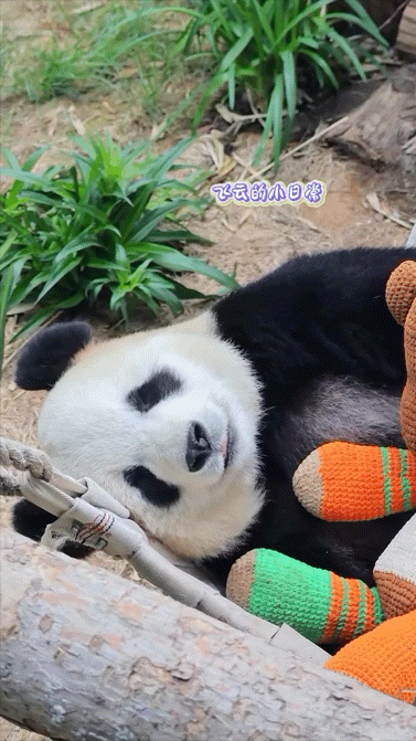 cVndKw.gif