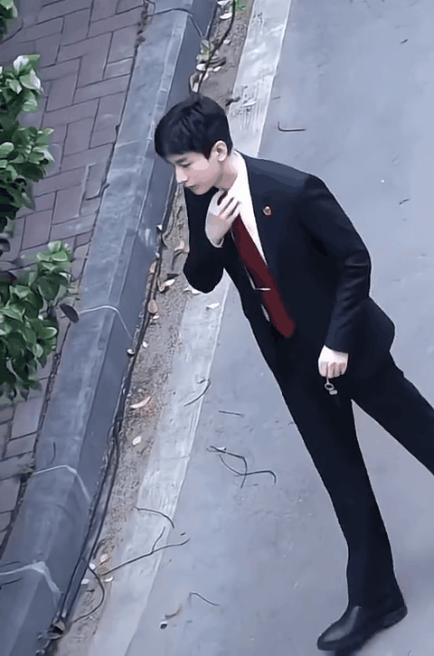 cXzjIB.gif