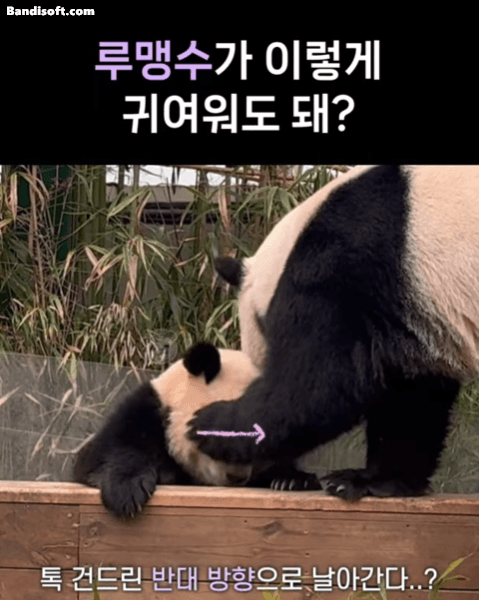 cdEQNh.gif