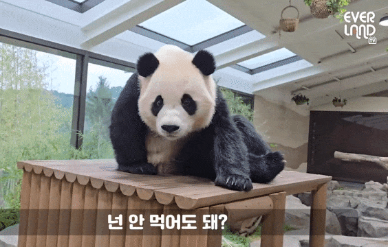 ceIyrh.gif