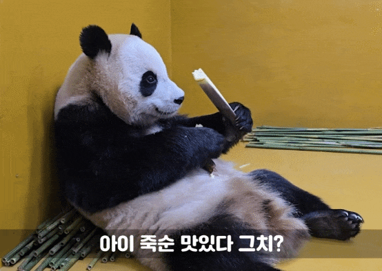 ceifng.gif