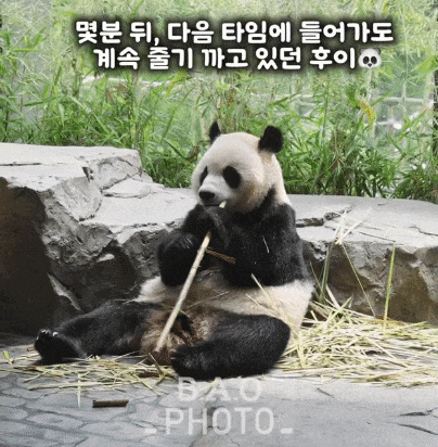 dCBMcY.gif