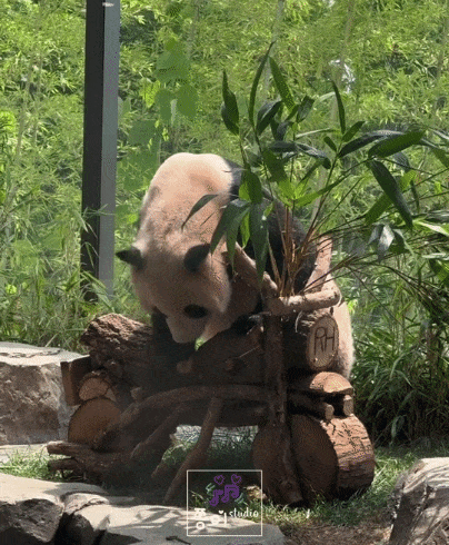 dKNIgu.gif
