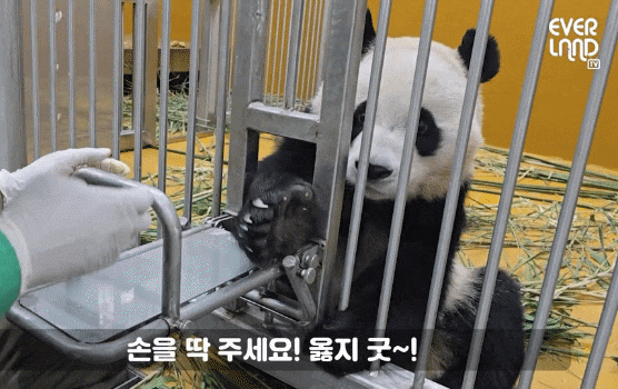 dXeqku.gif