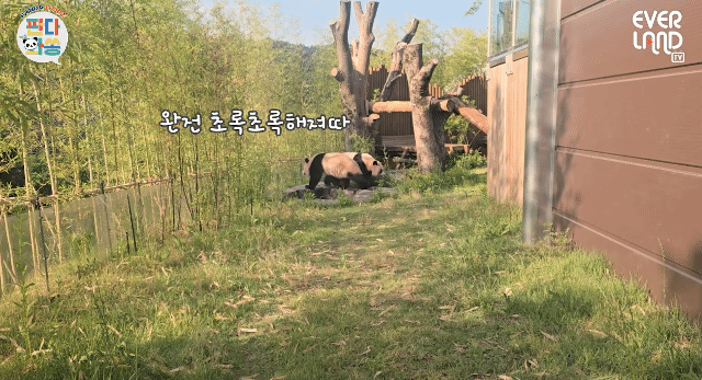 dbpvrp.gif