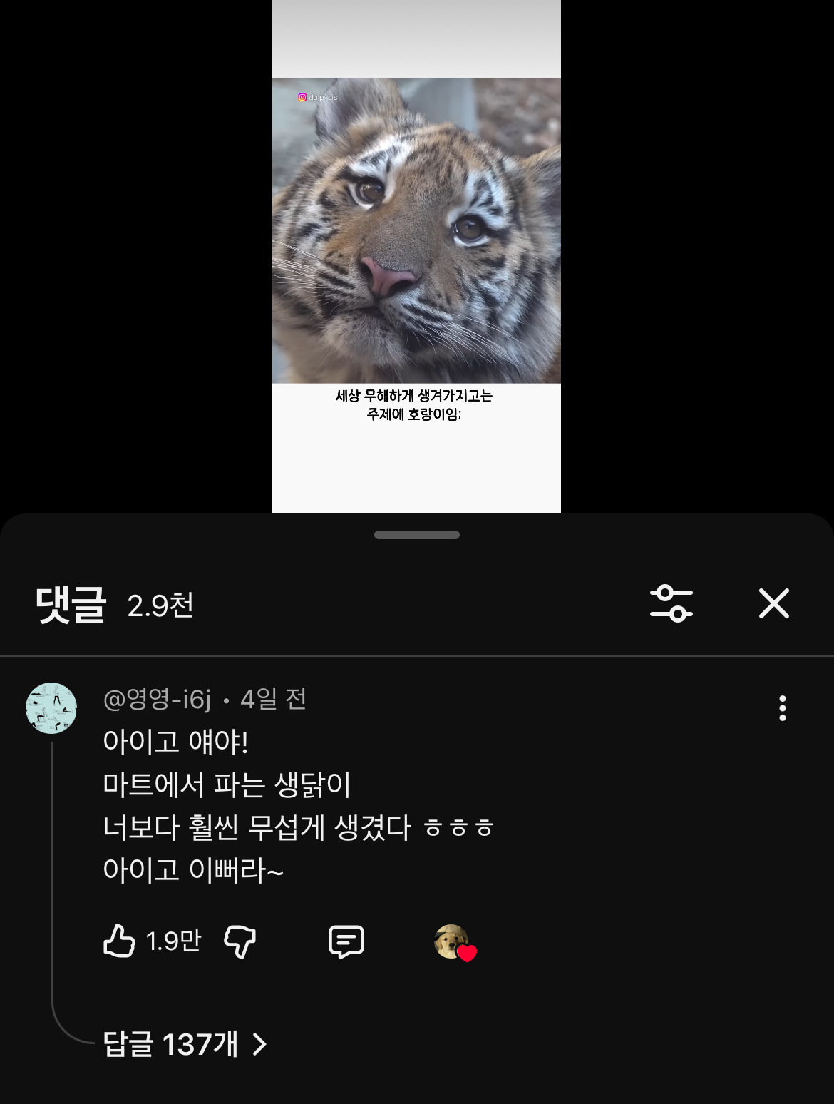 djMlCR