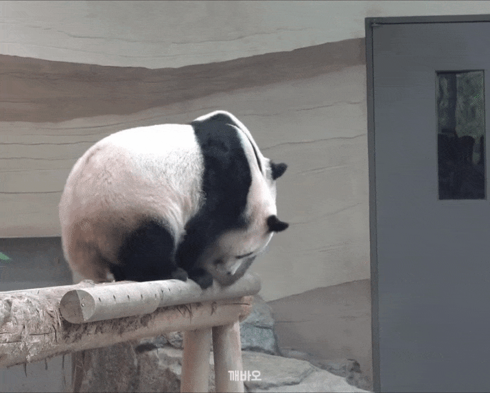 dqZLtK.gif