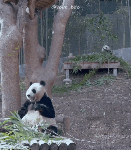 dsFWct.gif