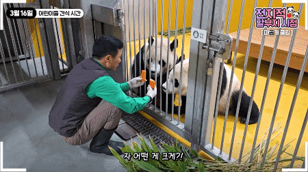 dtMFqP.gif