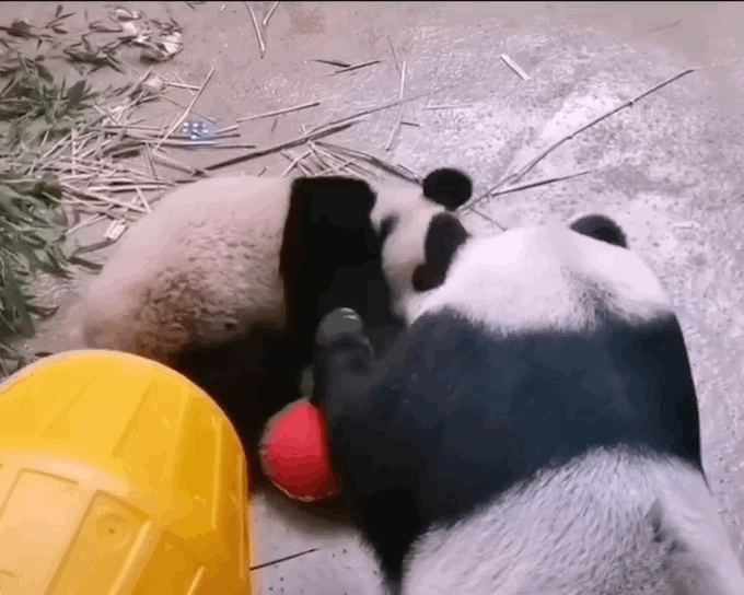 eENRgz.gif