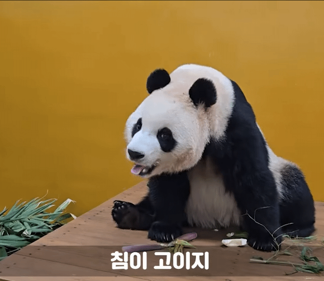 eFbWPg.gif