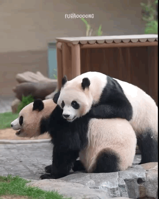 eHMWDh.gif
