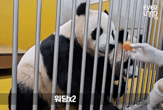 eJXWri.gif
