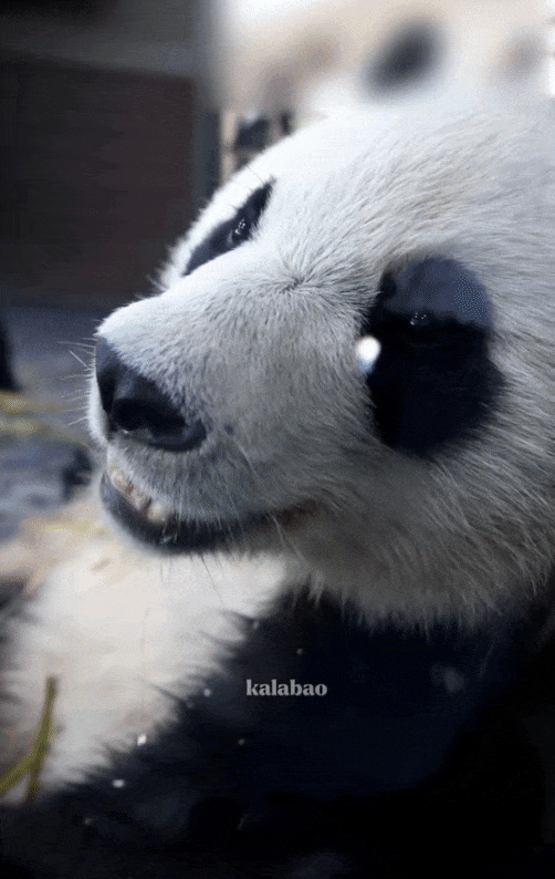 eKjlWK.gif
