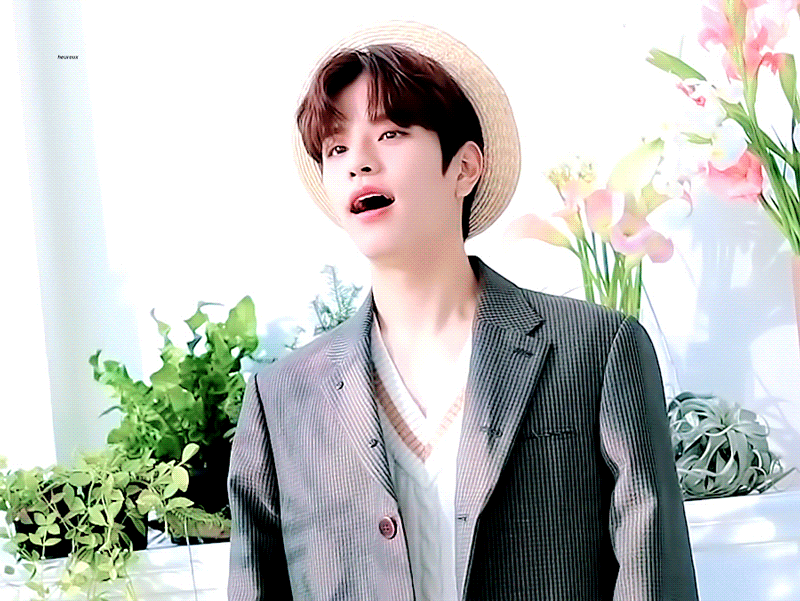 eLlfmh.gif