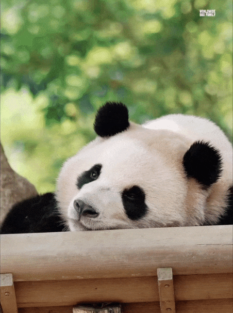 eUmvbt.gif