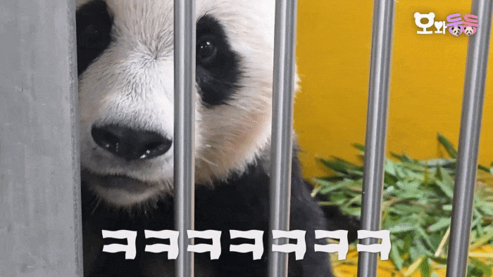 eXeRek.gif