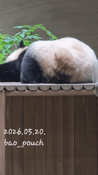 eXrjCB.gif