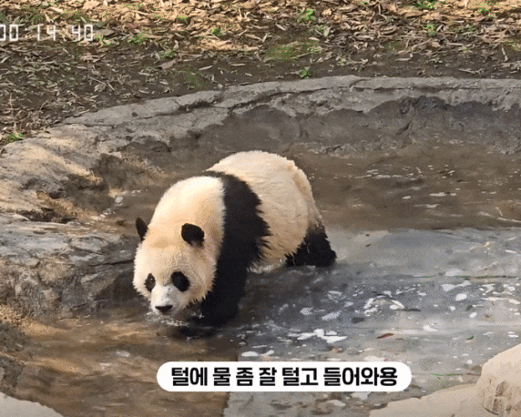ebHQkO.gif